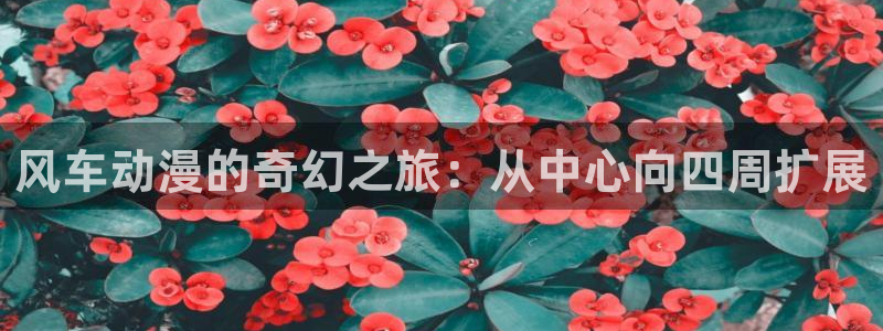 managereader漫画官网入口