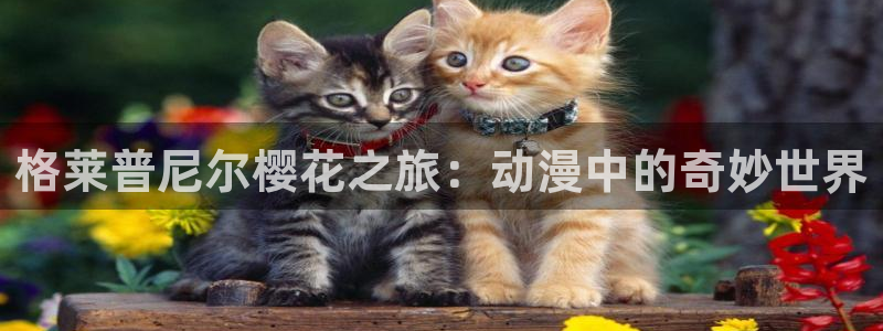 managereader漫画官网入口