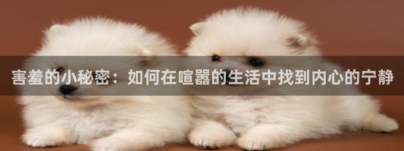 yy漫画官网网址：害羞的小秘密：如何在喧嚣的生活中找到内心的宁静
