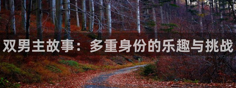 yy漫画网官网入口：双男主故事：多重身份的乐趣与挑战