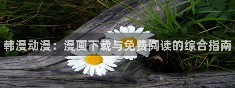 yy漫画网：韩漫动漫：漫画下载与免费阅读的综合指南