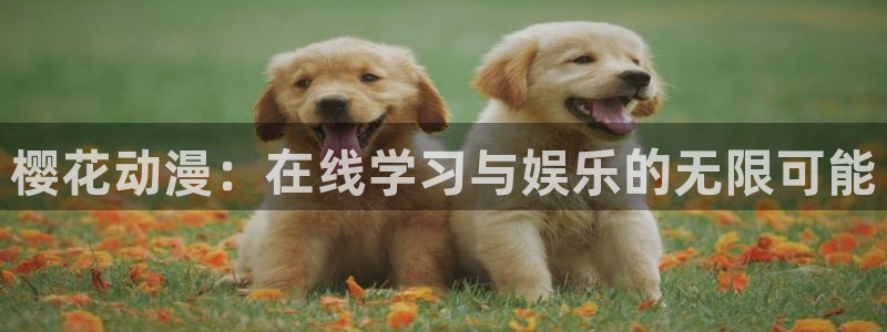 yy漫画网官网入口：樱花动漫：在线学习与娱乐的无限可能