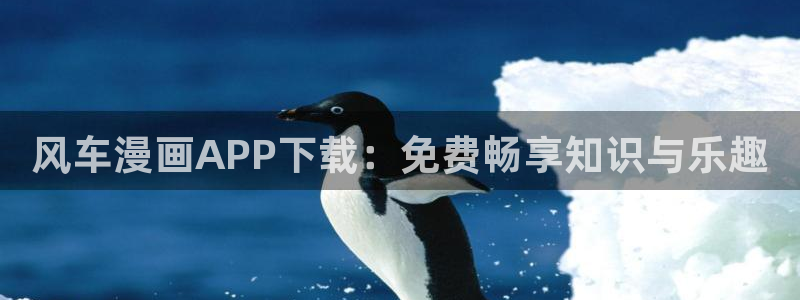 拷贝漫画 copymanager.ory网站：风车漫画APP下载：免费畅享知识与乐趣