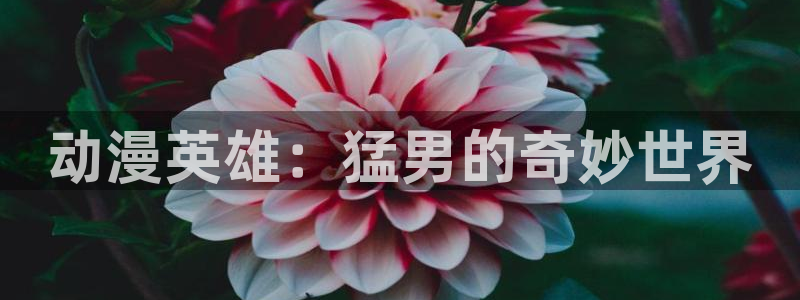 yy漫画官网网址：动漫英雄：猛男的奇妙世界