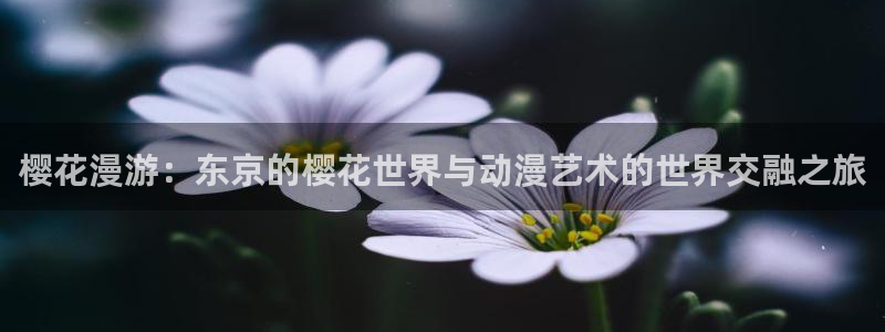 yy漫画网