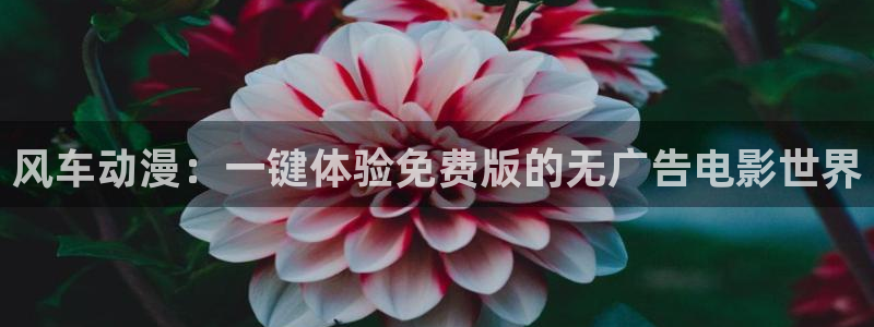 yy漫画正版网