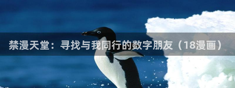 yy漫画正版网：禁漫天堂：寻找与我同行的数字朋友（18漫画）